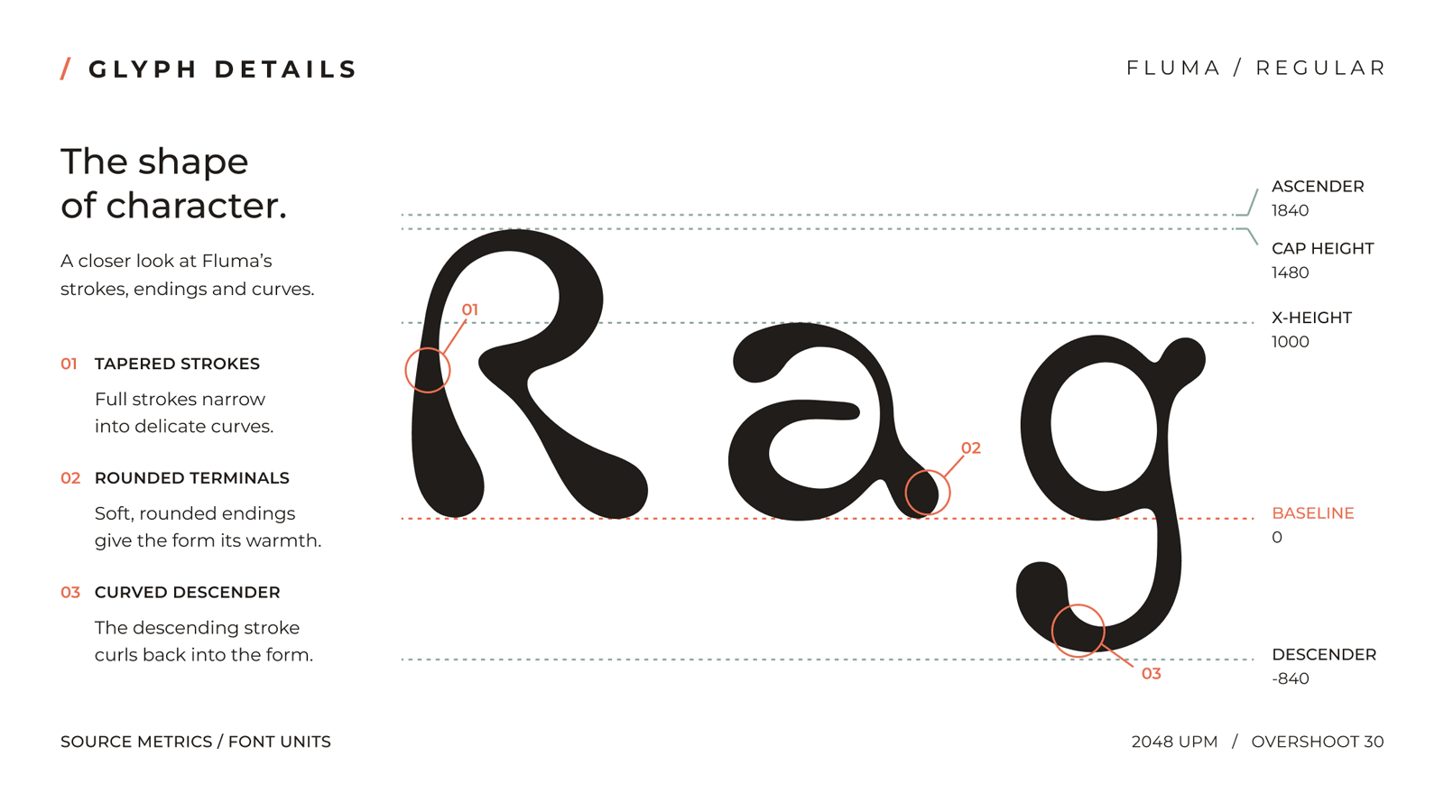 FLUMA R, a, and g glyph detail sheet with outlines and vertical metric guides